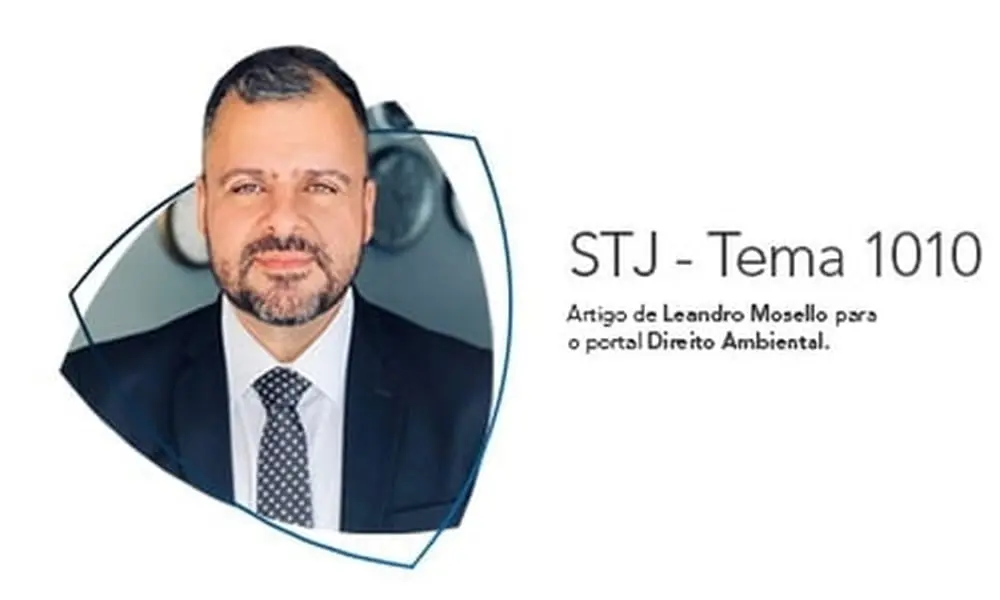 STJ - Tema 1010: A ausência de modulação dos efeitos ante a prevalência das disposições do Código Florestal em áreas urbanas e a aplicação compulsória do princípio do melhor interesse do meio ambiente como balizador fundamental dos efeitos práticos do julgado.