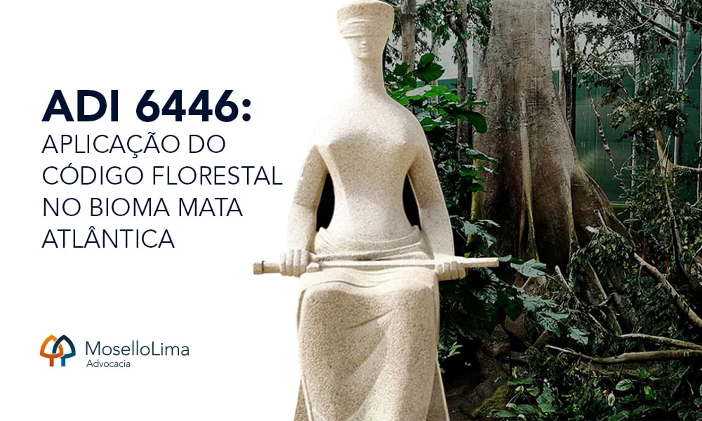 ADI 6446: Aplicação do Código Florestal no bioma Mata Atlântica