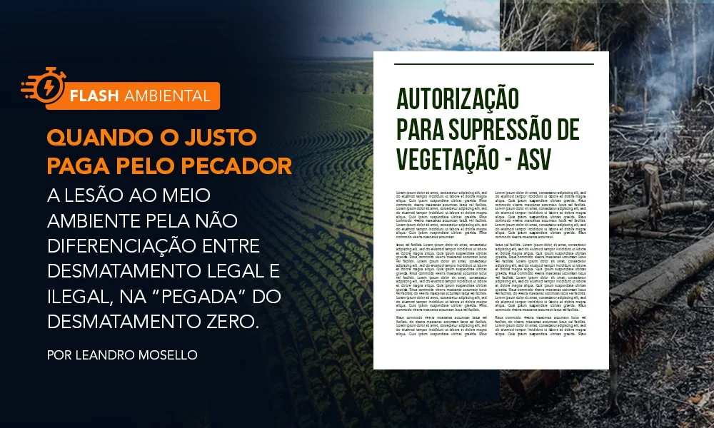 Quando o justo paga pelo pecador. A lesão ao meio ambiente pela não diferenciação entre desmatamento legal e ilegal, na “pegada” do desmatamento zero.