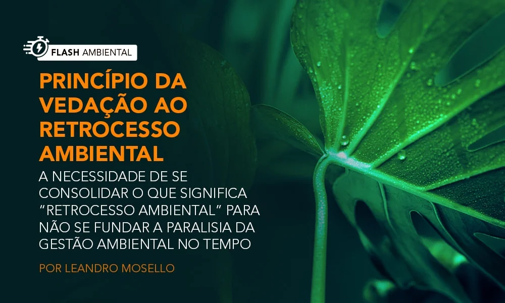 Princípio da vedação ao retrocesso ambiental