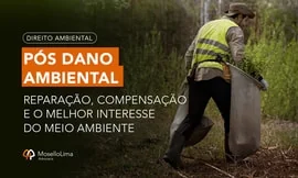 PÓS DANO AMBIENTAL