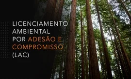 Licenciamento ambiental por adesão e compromisso (LAC) ou auto-declaratório. Por que tanta repulsa a esta ideia?